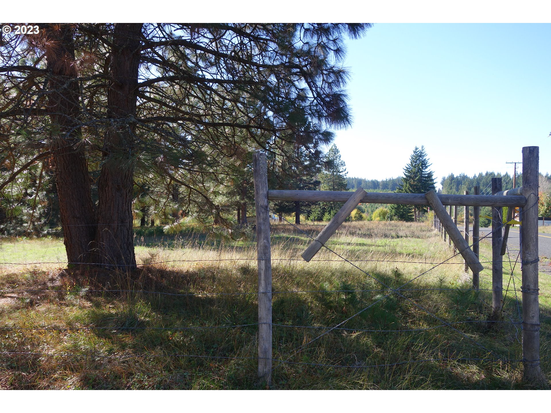 182 Bates Road White Salmon, WA 98672 - Photo 36 of 38 a view of swimming pool from a yard