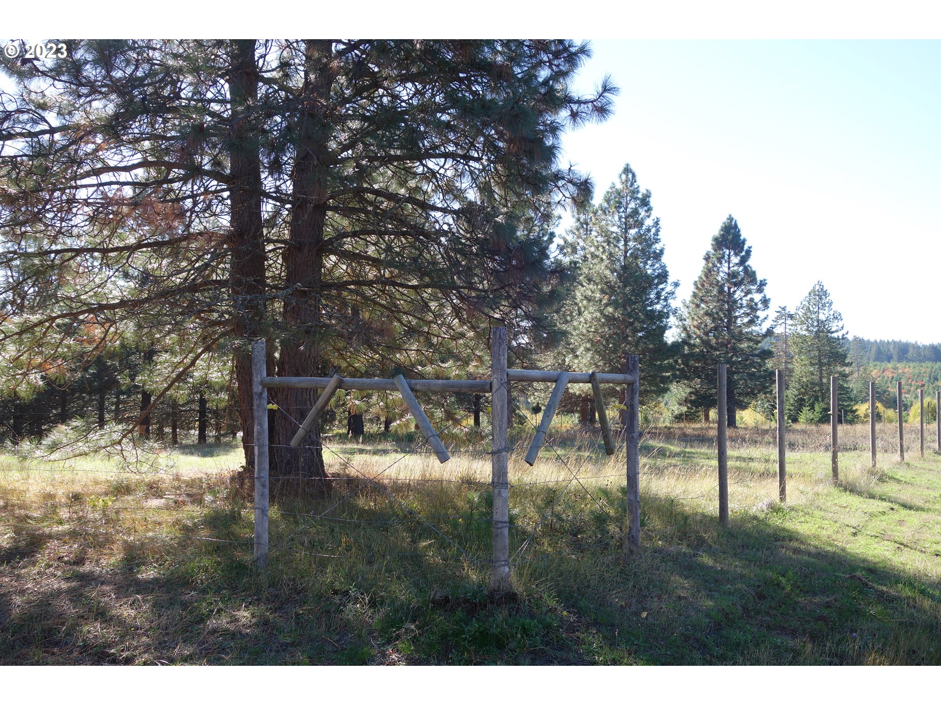 182 Bates Road White Salmon, WA 98672 - Photo 37 of 38 a view of yard with trees