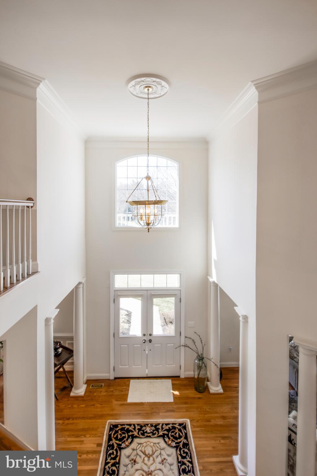 2779 Cody Road Vienna, VA 22181 - Photo 50 of 50 Gallery Image 50
