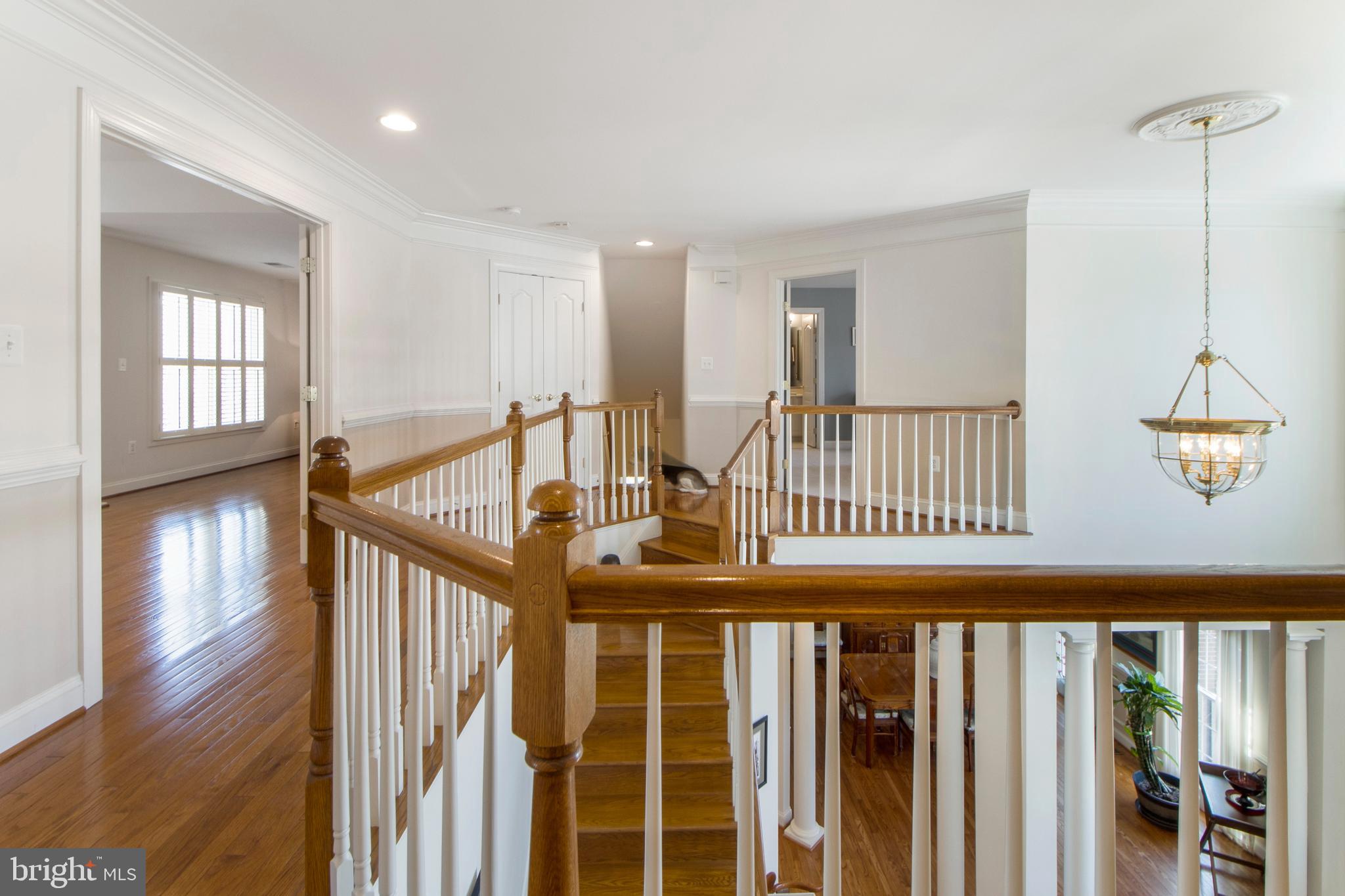 2779 Cody Road Vienna, VA 22181 - Photo 9 of 50 Gallery Image 9
