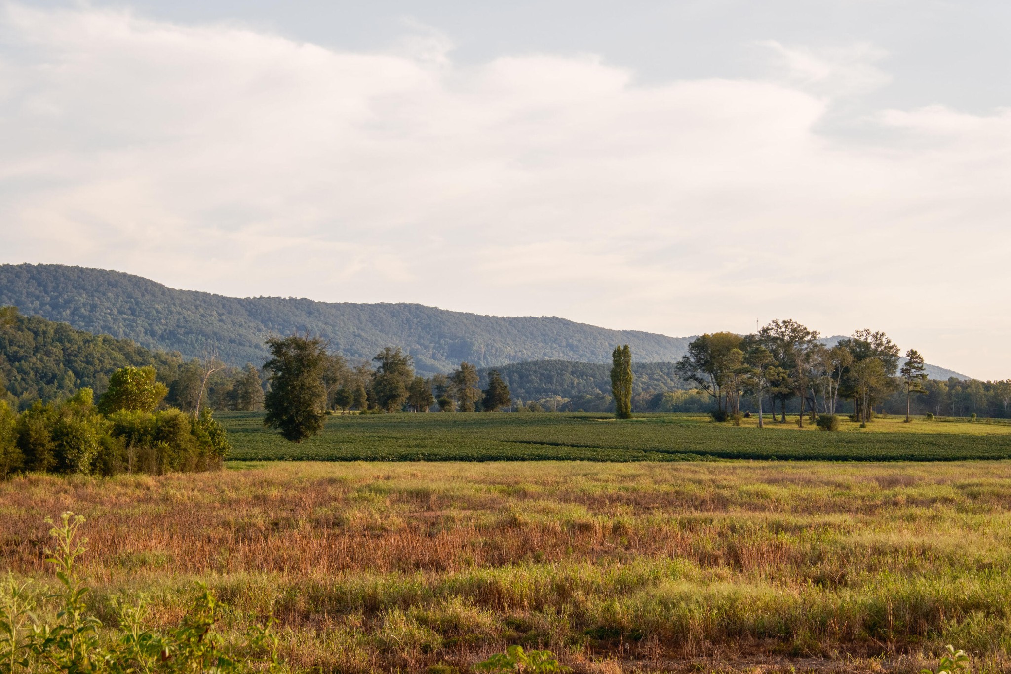 4340 Holland Chattoogaville Road Lyerly, GA 30730 - Photo 11 of 47 a view of a field with mountains in the background