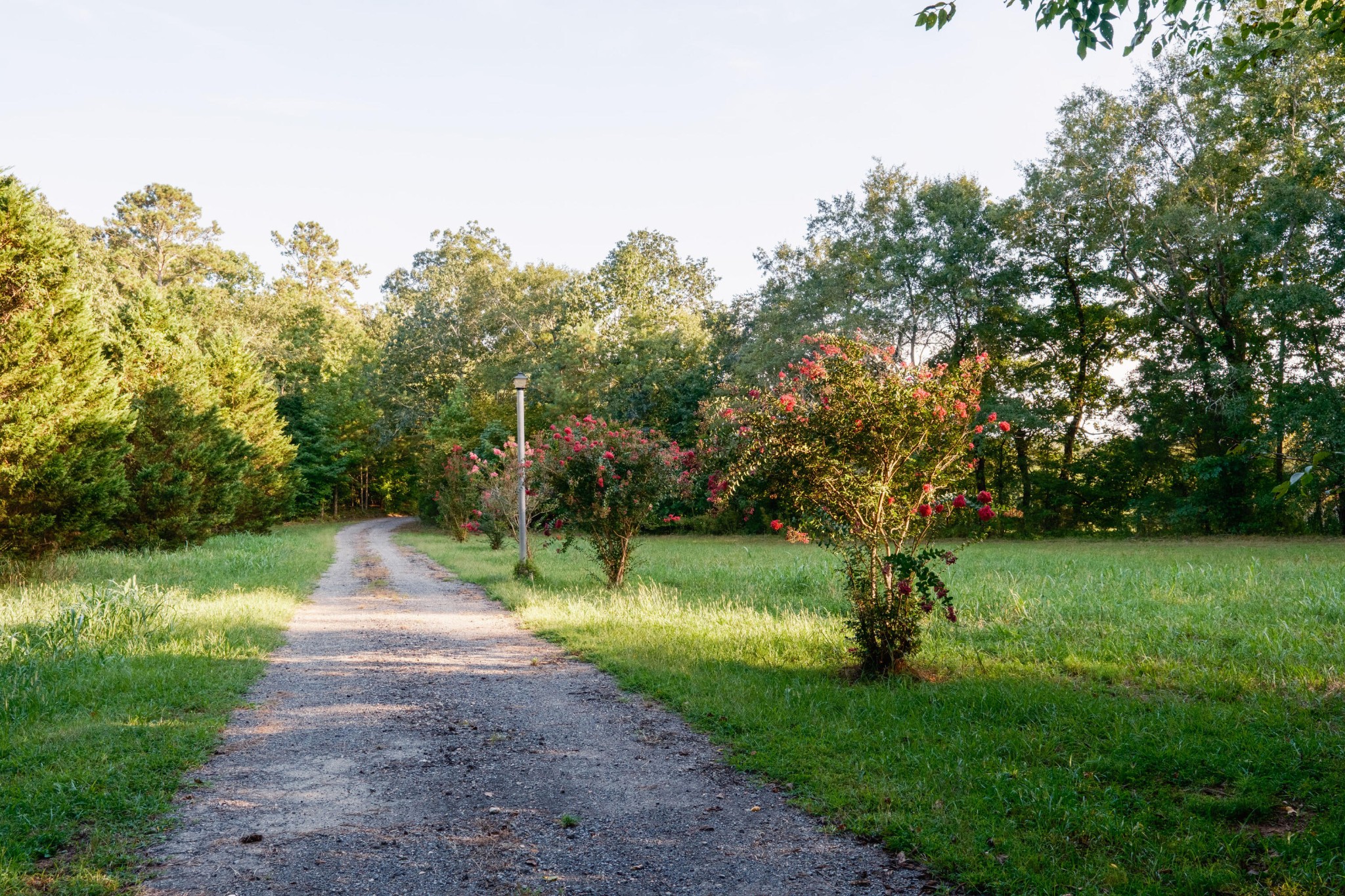 4340 Holland Chattoogaville Road Lyerly, GA 30730 - Photo 13 of 47 a view of a park