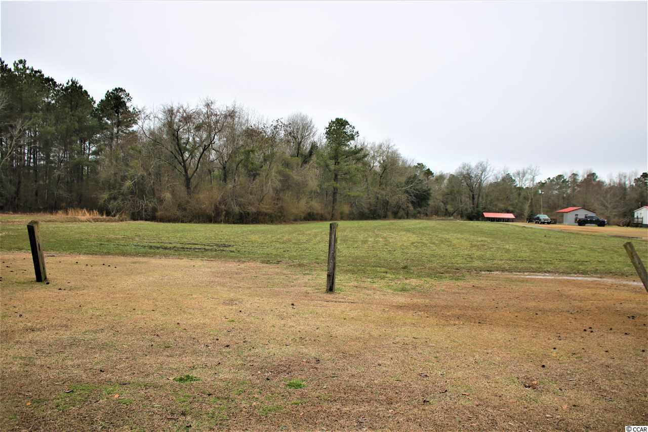 293 Morrisville Road Andrews, SC 29510 - Photo 5 of 5