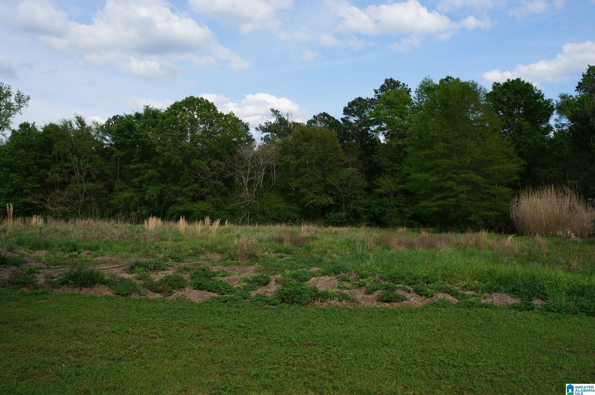 150 Mountain View Road Sylacauga, AL 35150 - Photo 11 of 36