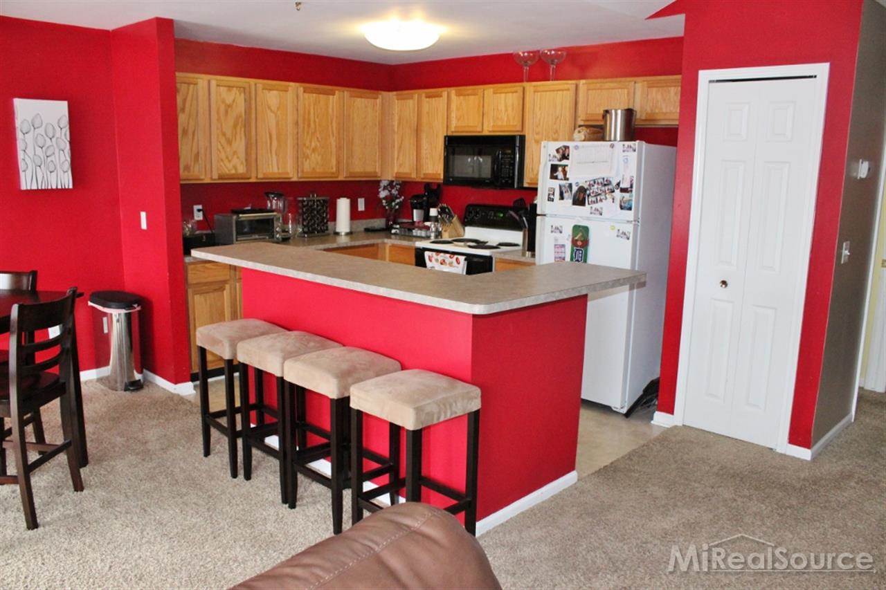 45613 Heather Ridge Drive Macomb, MI 48044 - Photo 3 of 12 31209323-2.JPG