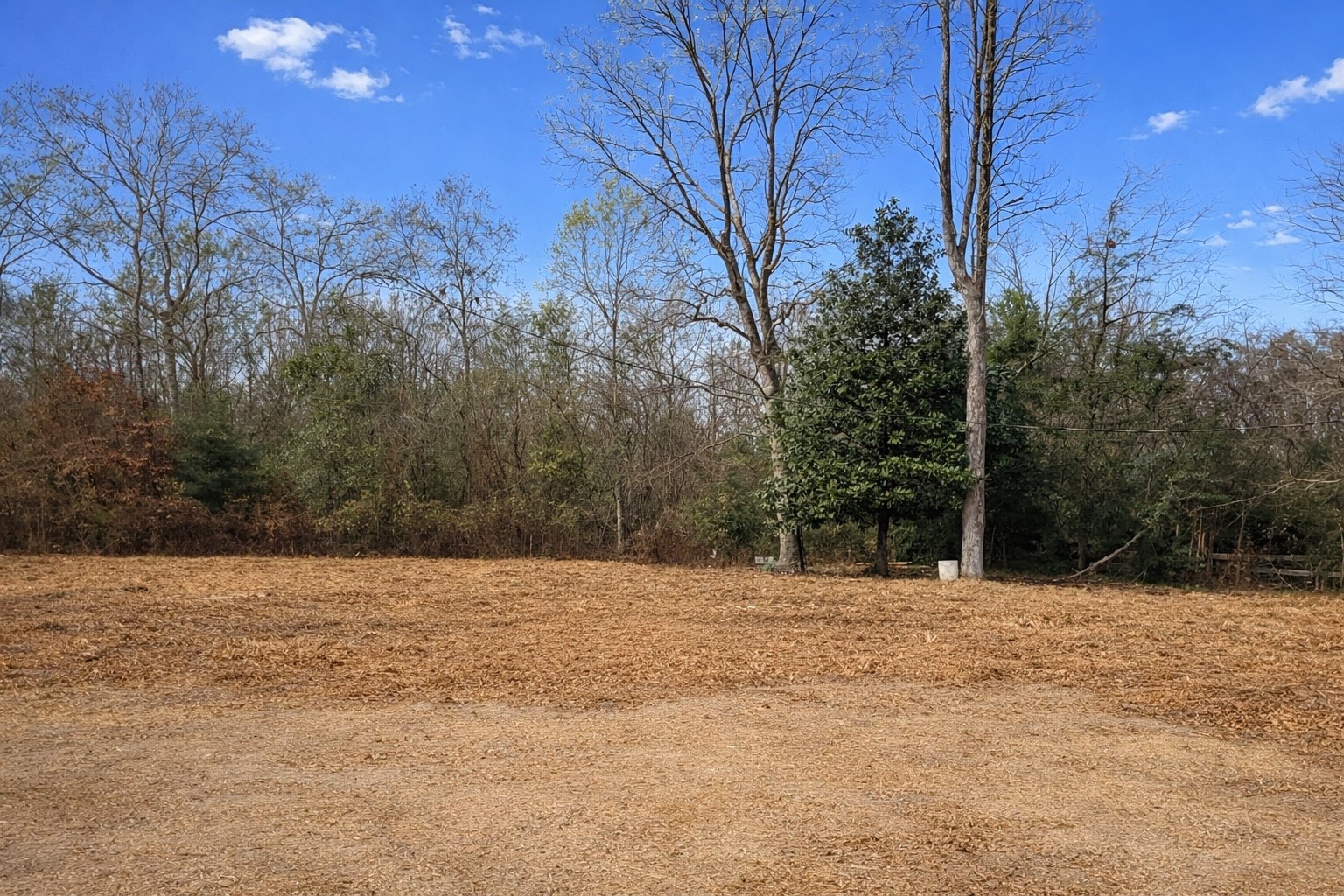 274 County Road 3945 Colmesneil, TX 75938 - Photo 5 of 13 a view of white house with a snow on the road