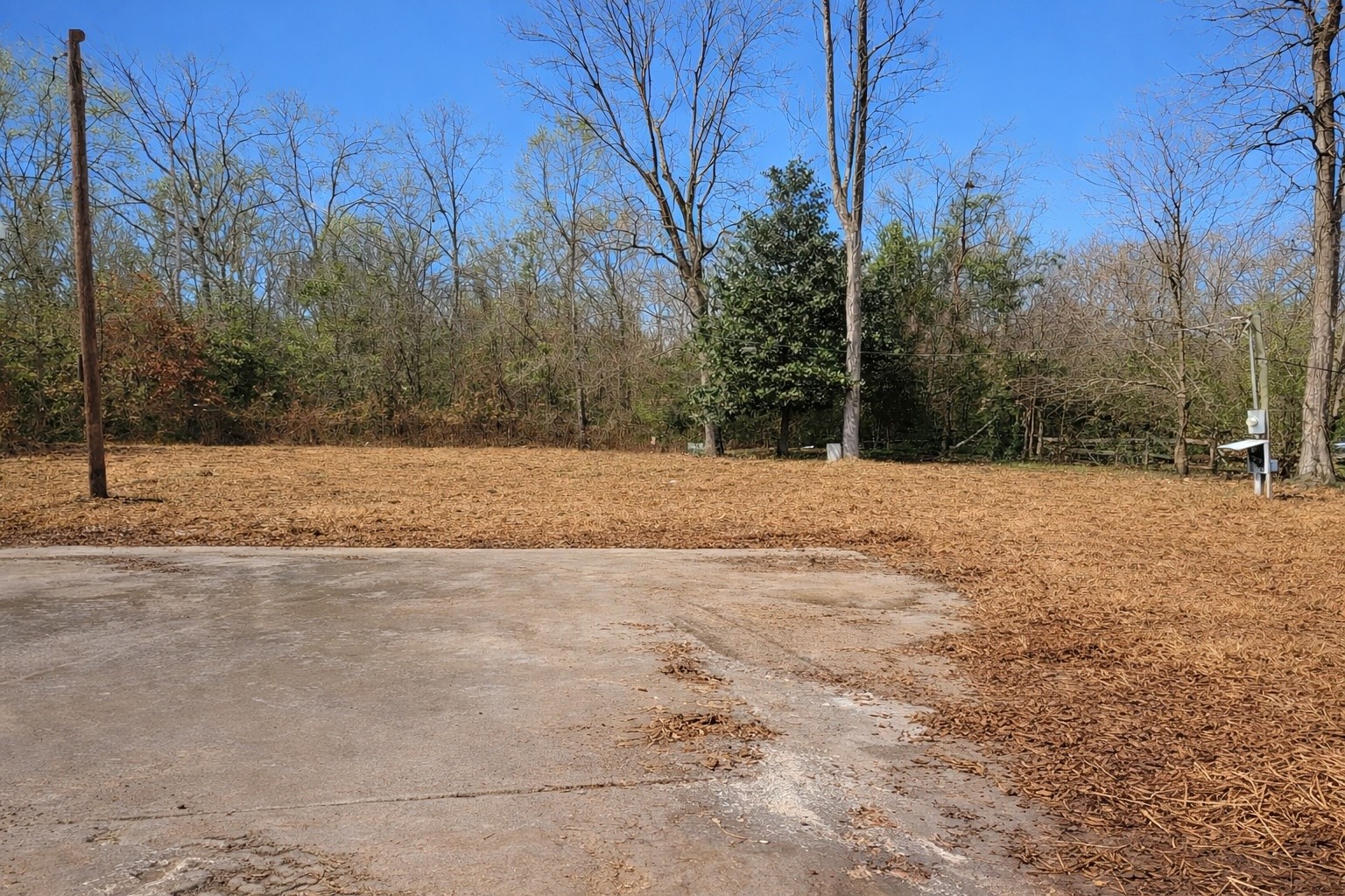 274 County Road 3945 Colmesneil, TX 75938 - Photo 9 of 13