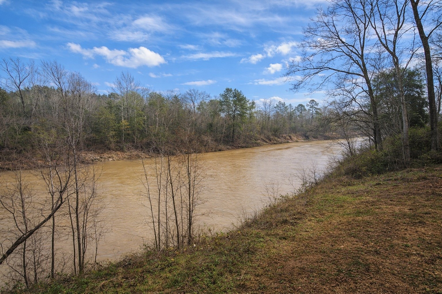 274 County Road 3945 Colmesneil, TX 75938 - Photo 10 of 13 a view of lake with mountain
