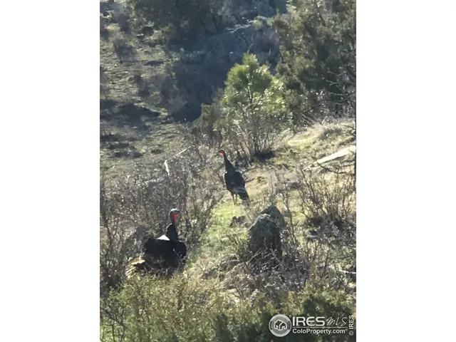 a view of ocean and mountain