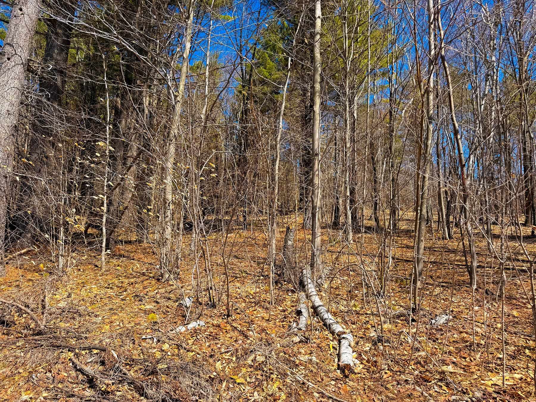 407-l 35 Shem Valley Road Alexandria, NH 03222 - Photo 20 of 40 Gallery Image 20