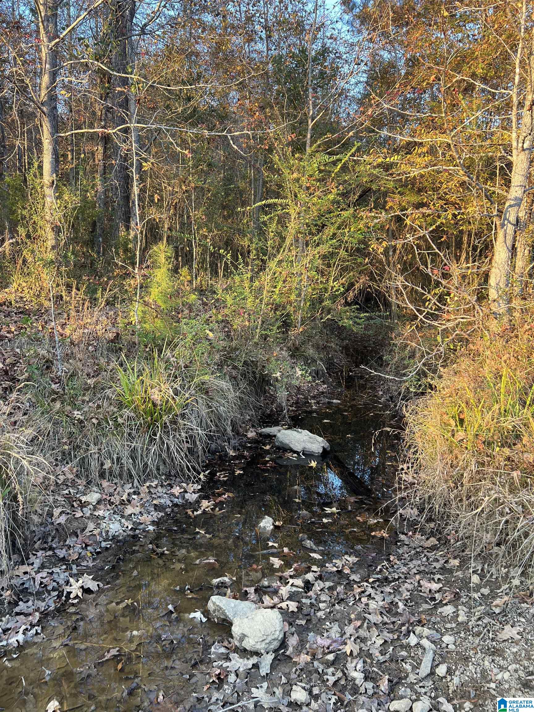 11-acres Risers Mill Road, Unit 11 ACRES Alpine, AL 35014 - Photo 9 of 23