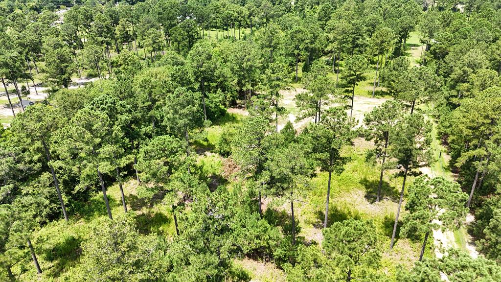 185 Ben Ivey Road Webb, AL 36376 - Photo 2 of 9