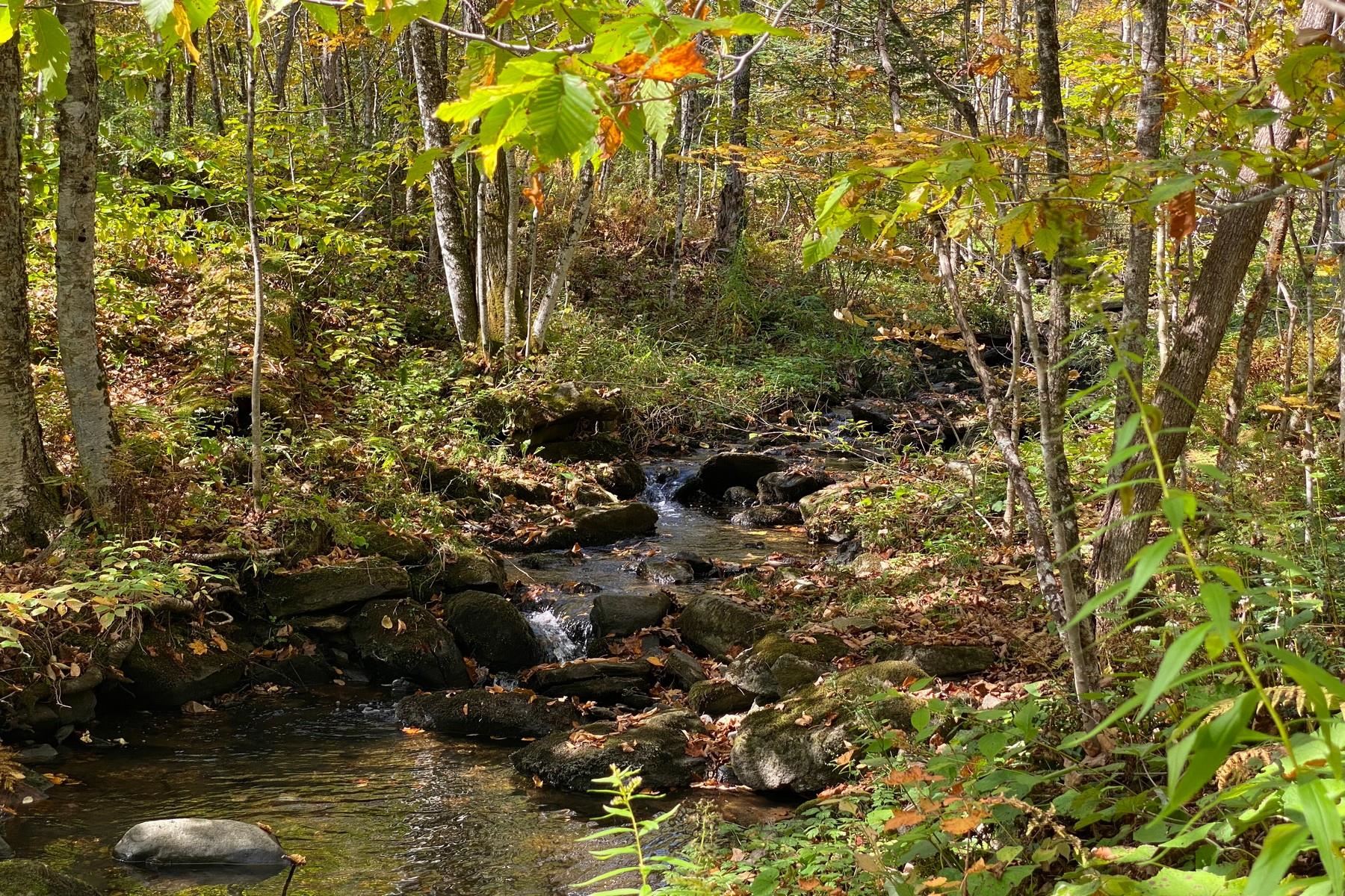 0 Spring Lake Road Shrewsbury, VT 05738 - Photo 1 of 10 Gallery Image 1