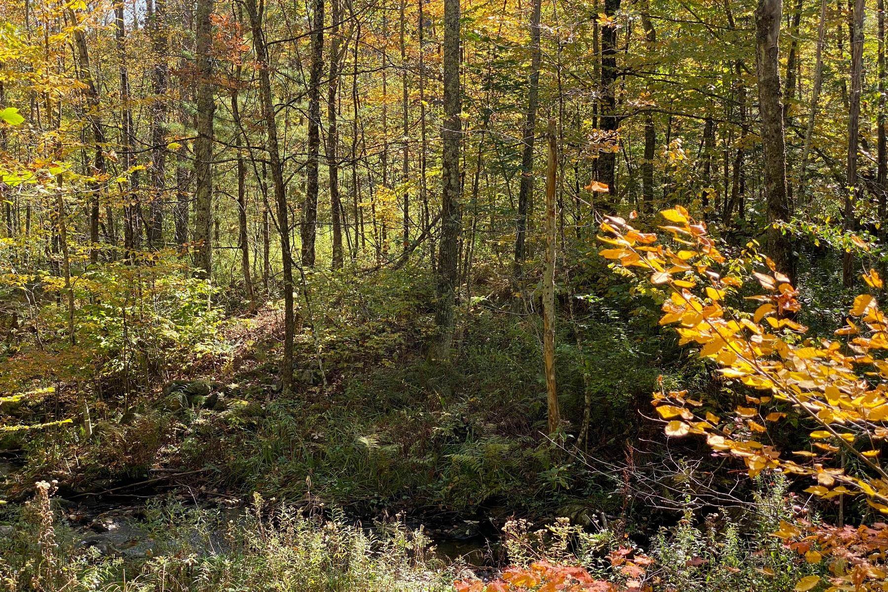 0 Spring Lake Road Shrewsbury, VT 05738 - Photo 5 of 10 Gallery Image 5