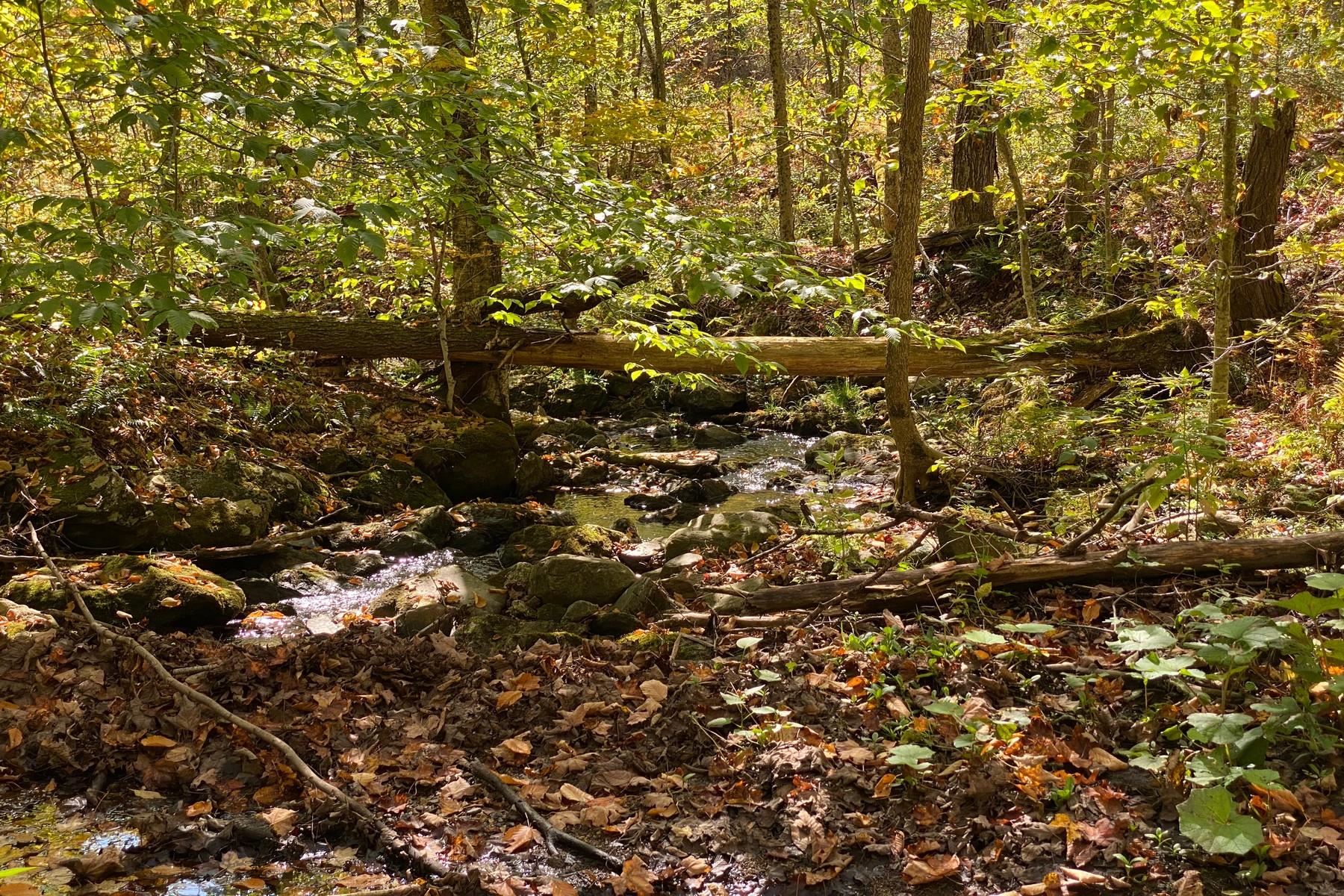 0 Spring Lake Road Shrewsbury, VT 05738 - Photo 6 of 10 Gallery Image 6