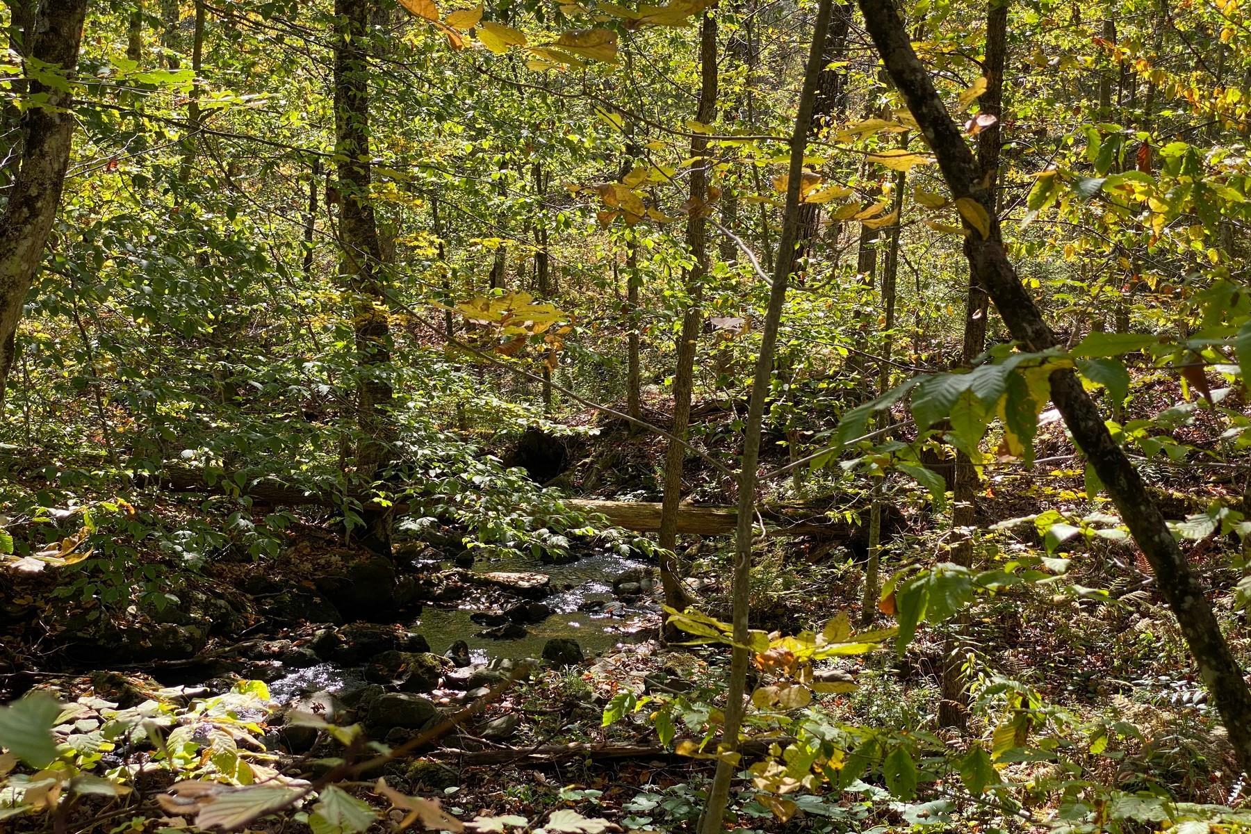 0 Spring Lake Road Shrewsbury, VT 05738 - Photo 7 of 10 Gallery Image 7