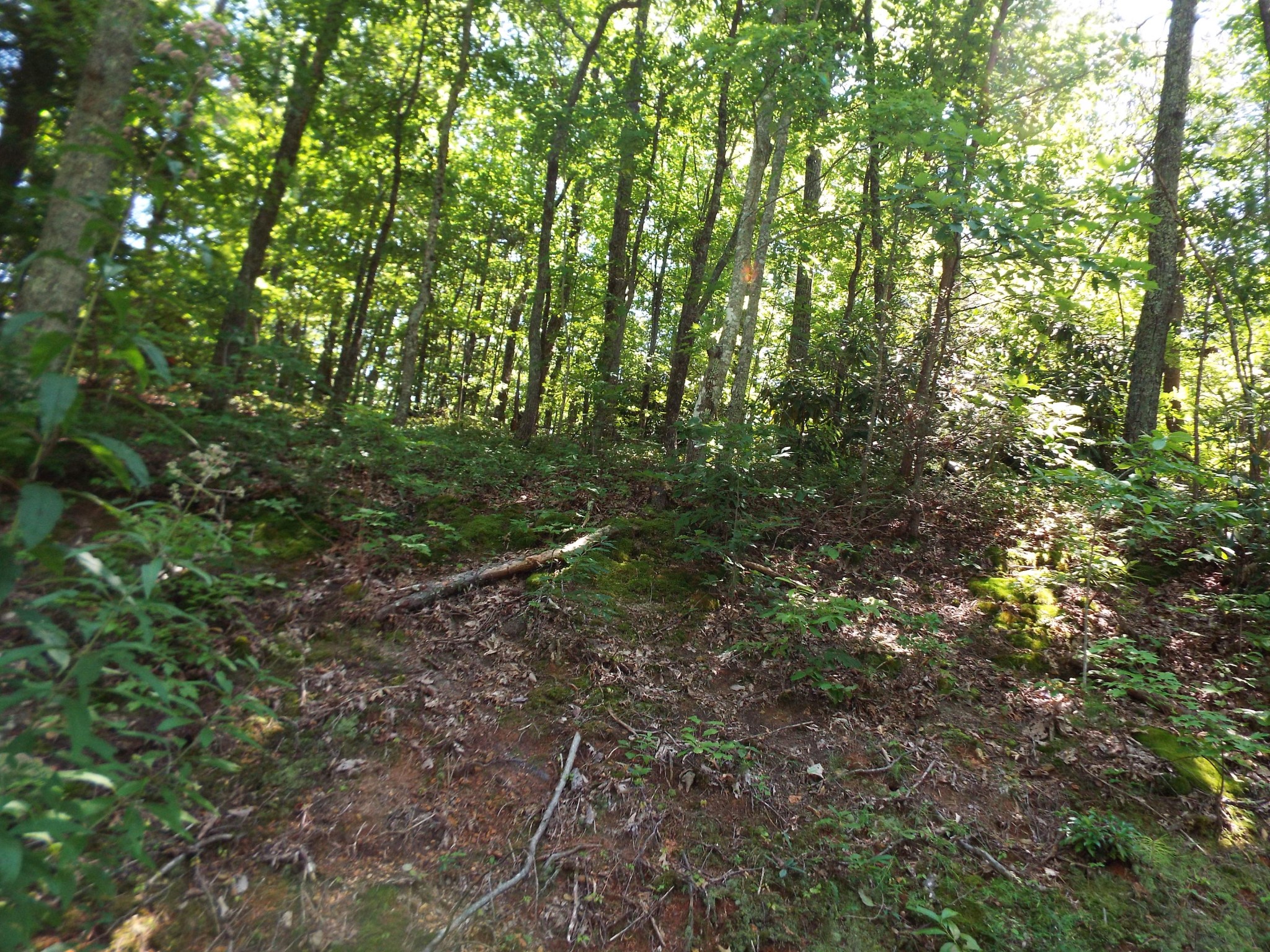 0 Red Bud Road Sevierville, TN 37876 - Photo 2 of 10 Gallery Image 2