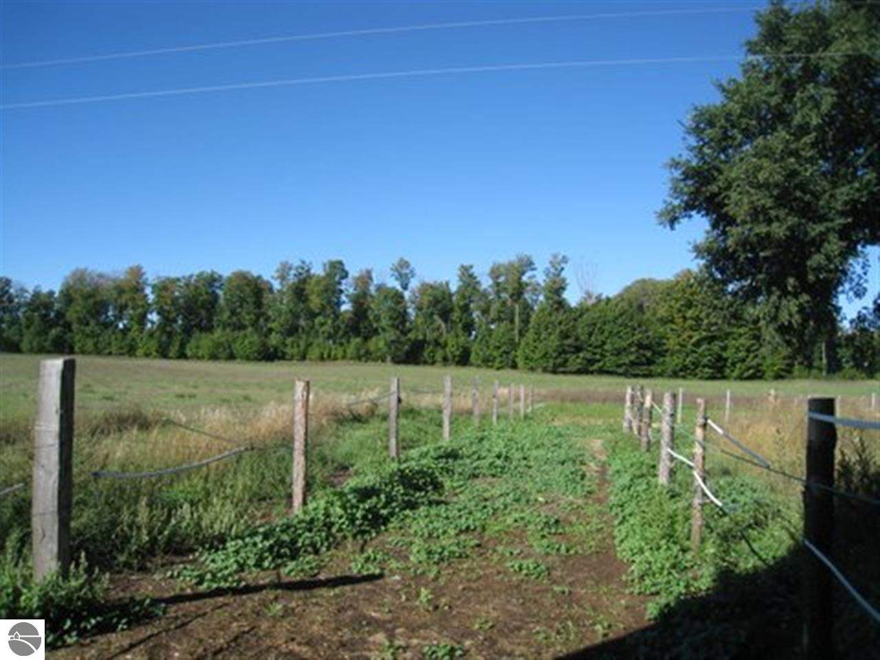 7360 Summit City Road Kingsley, MI 49649 - Photo 7 of 20 1776867-6.JPG