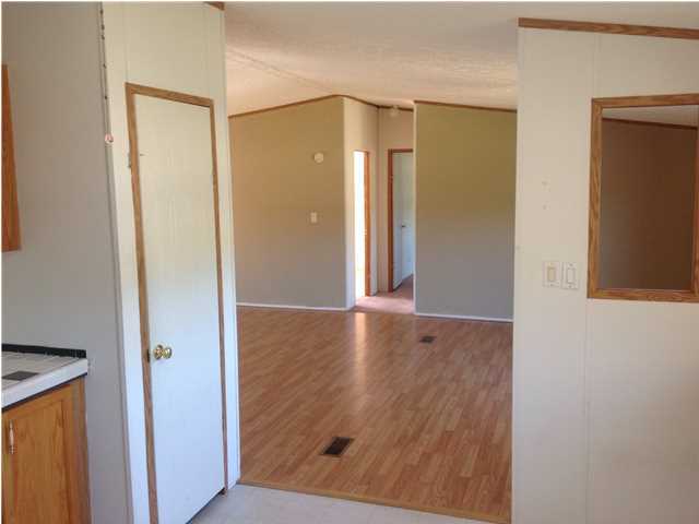 6539 Bears Bluff Road Wadmalaw Island, SC 29487 - Photo 7 of 13 Additional Photo
