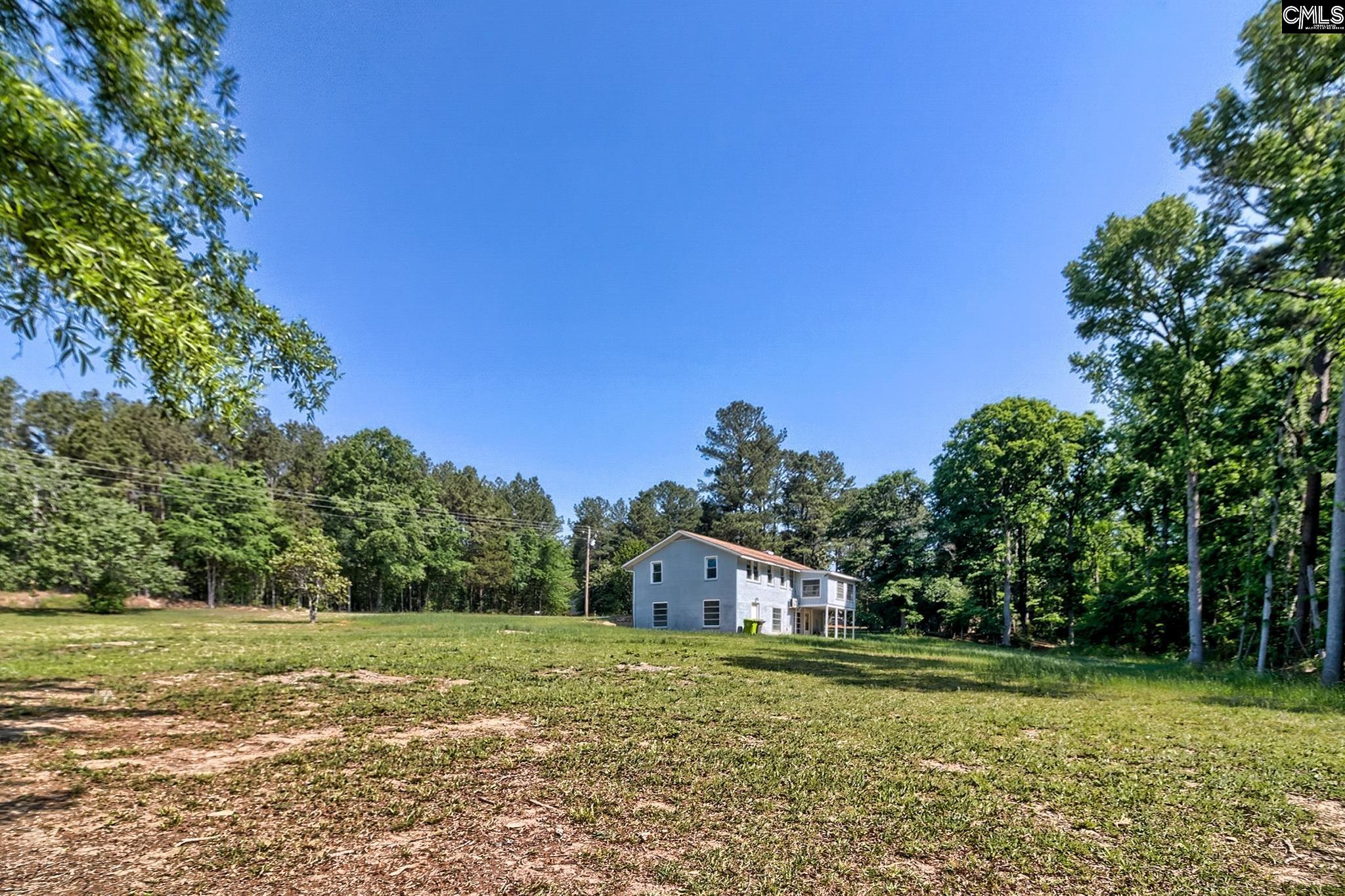 1133 Old Hilton Road Chapin, SC 29036 - Photo 9 of 50