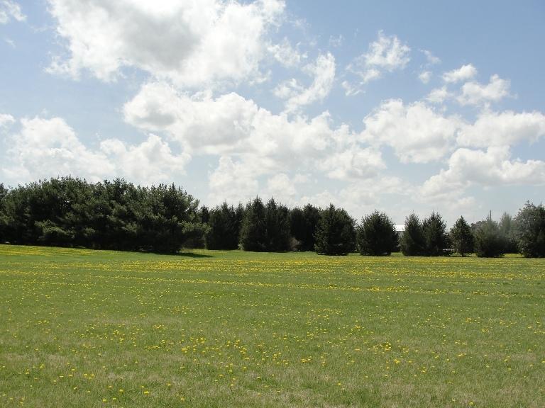 0 Three Three Mile Road Urbana, OH 43078 - Photo 2 of 3