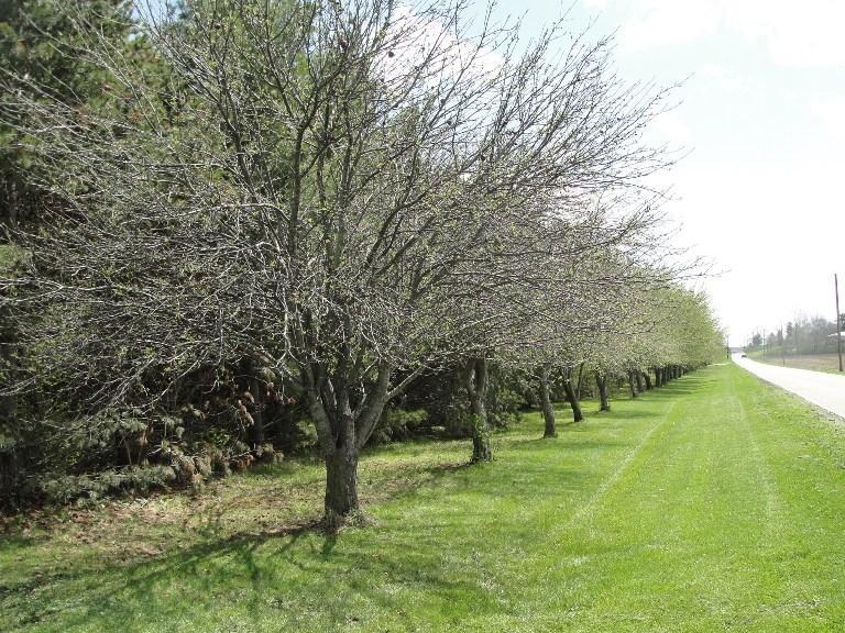 0 Three Three Mile Road Urbana, OH 43078 - Photo 3 of 3