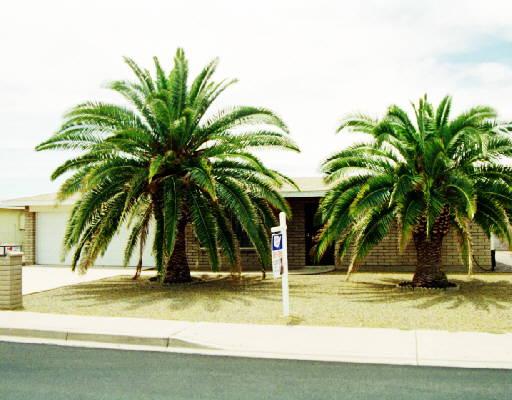 6457 East Adobe Road Mesa, AZ 85205 - Photo 1 of 1 Primary Photo