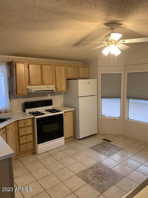 53 North Mountain Road, Unit 44 Apache Junction, AZ 85120 - Photo 8 of 17 thumbnail_IMG_4385