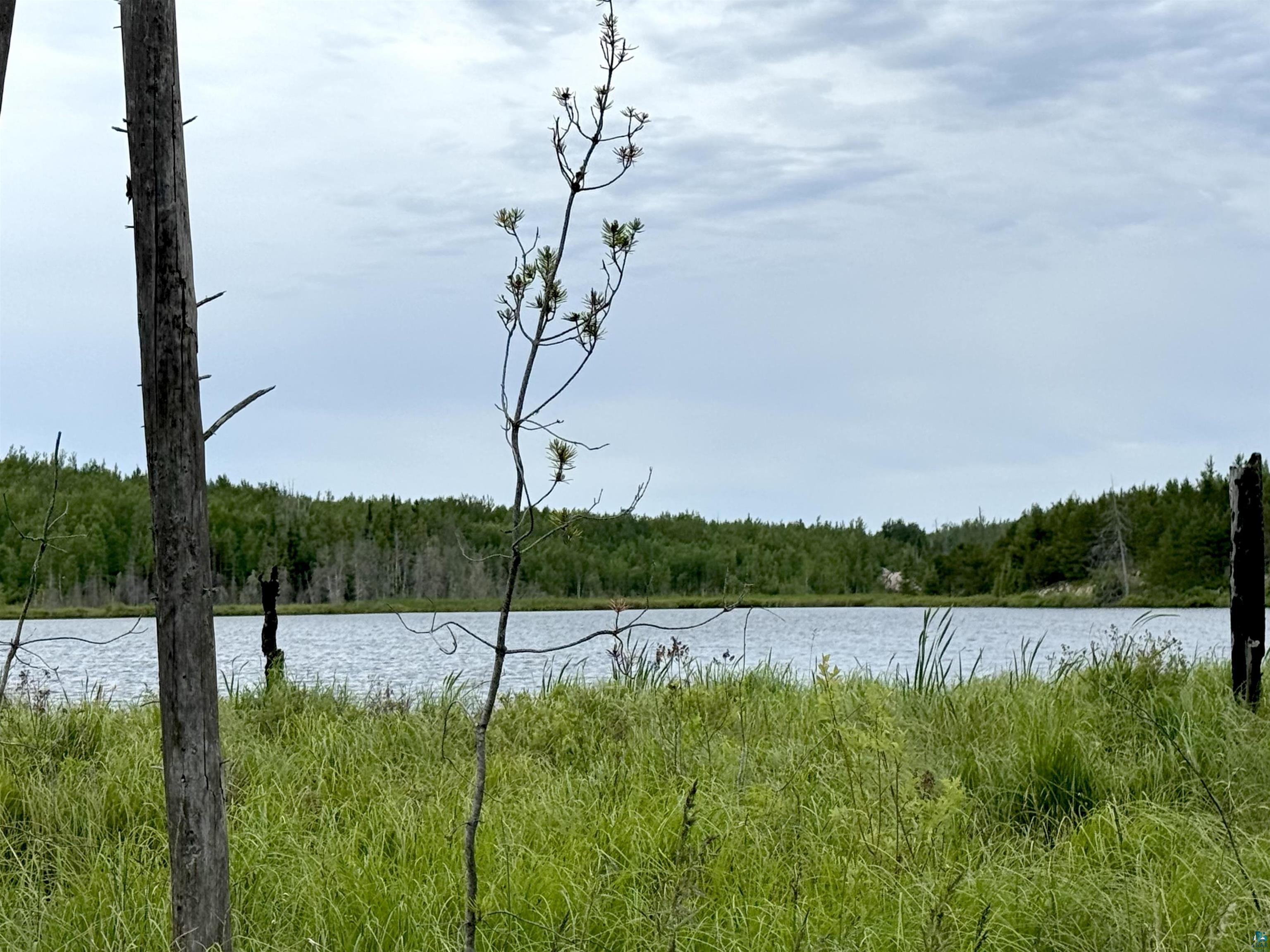 Tbd Onagon Lake Road Grand Marais, MN 55604 - Photo 3 of 14