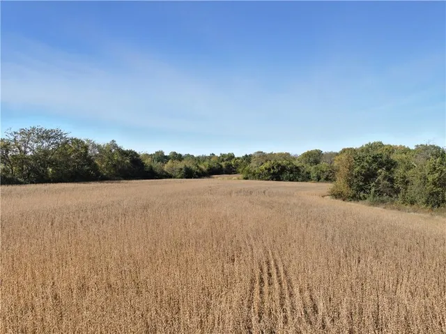 $3,990,000 | 13104 South 7th Highway, Greenwood, MO 64034