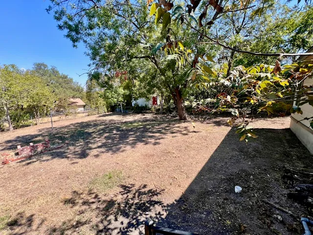 a view of a yard with plants and trees