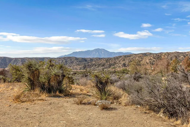 $499,000 | 48819 Bird Of Paradise, Morongo Valley, CA 92256