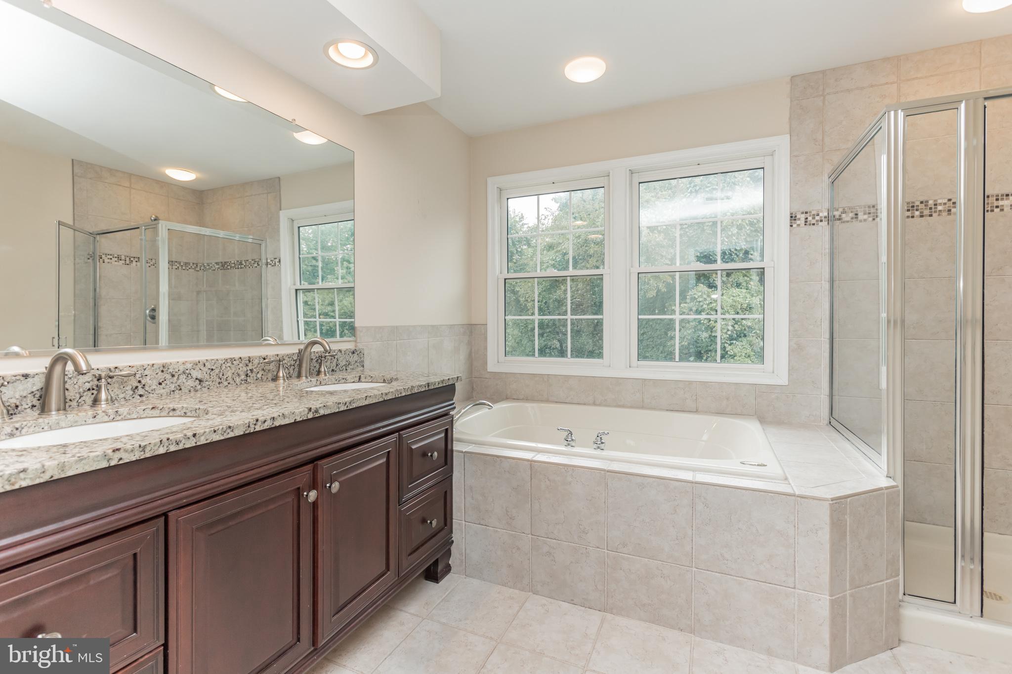 13907 Willow Tree Drive Rockville, MD 20850 - Photo 18 of 30 a spacious bathroom with a granite countertop tub sink and mirror