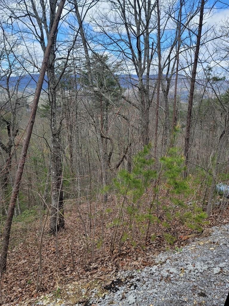 0 Coopers Hawk Way Sevierville, TN 37862 - Photo 5 of 11