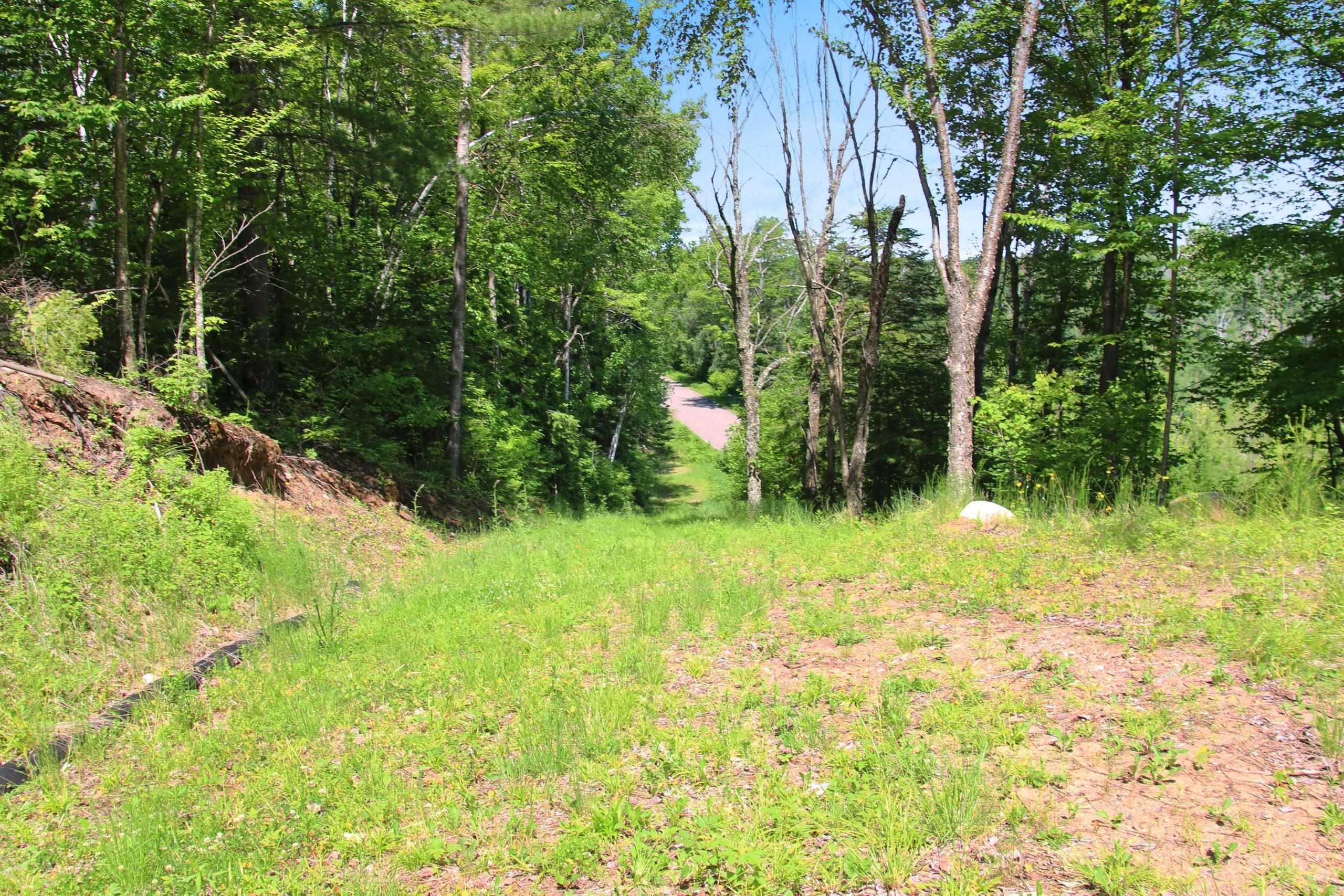 Bogus Road Deerbrook, WI 54424 - Photo 21 of 78