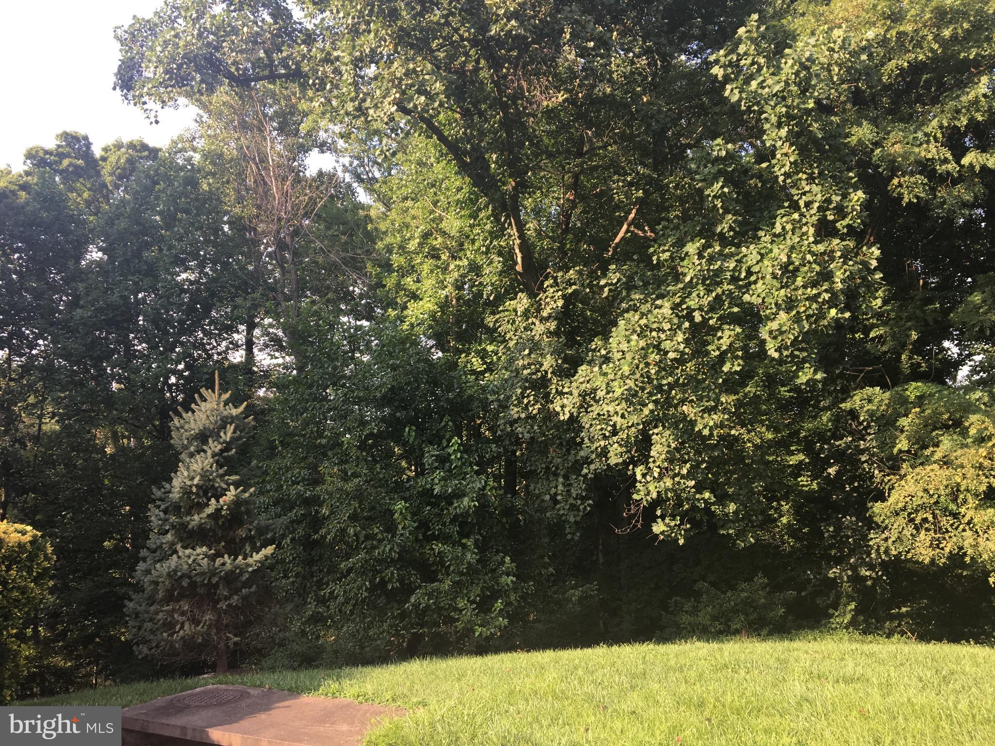 11600 Vantage Hill Road, Unit 1A Reston, VA 20190 - Photo 10 of 12 Exterior (General)
