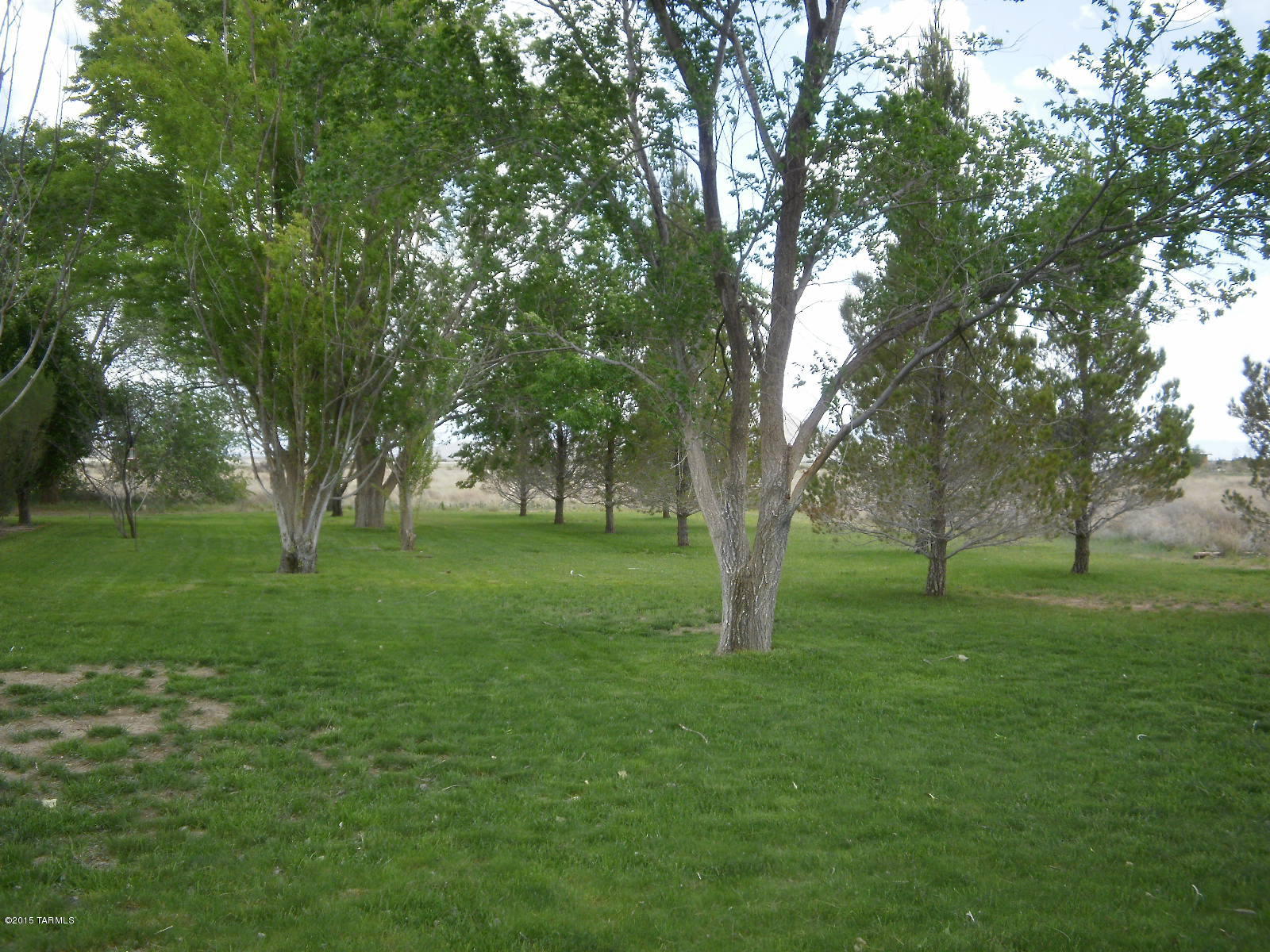 1588 North Steele Road Cochise, AZ 85606 - Photo 2 of 49 Gallery Image 2