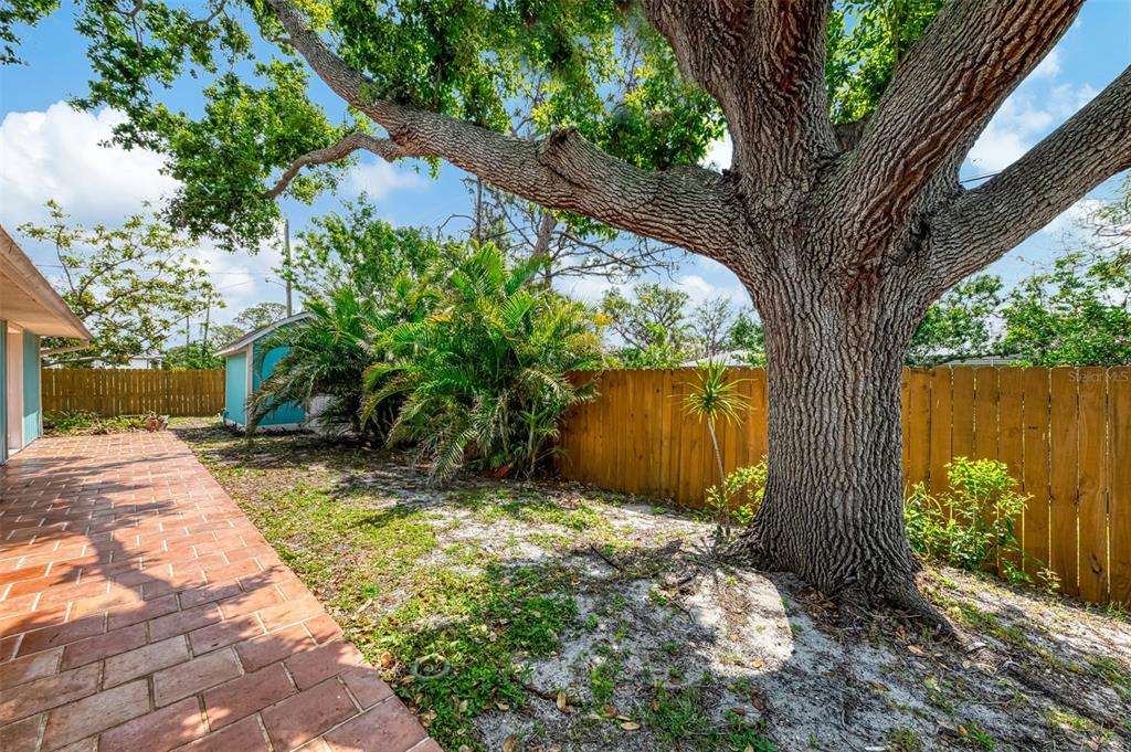 1137 Ponderosa Road Venice, FL 34293 - Photo 42 of 48 a view of backyard with large tree and wooden fence