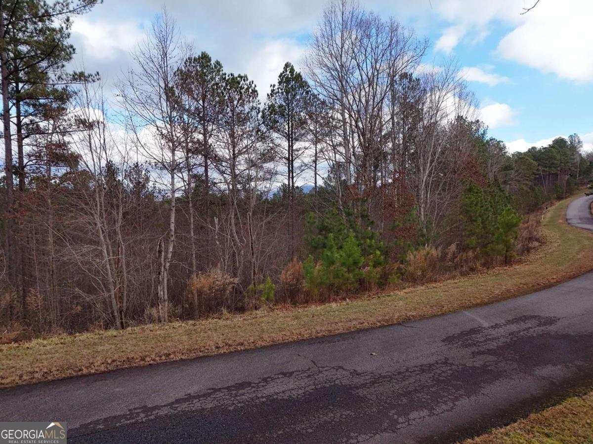 Lot 59 Ridge Peak View Blairsville, GA 30512 - Photo 12 of 49 a view of a yard with large trees