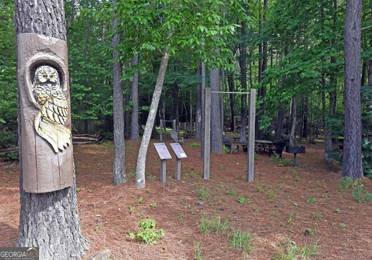 Lot 59 Ridge Peak View Blairsville, GA 30512 - Photo 26 of 49 a view of outdoor space with entertaining space