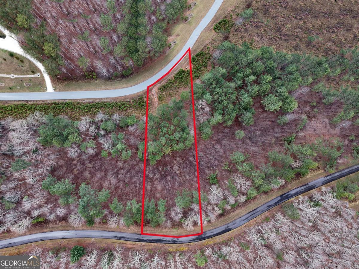 Lot 59 Ridge Peak View Blairsville, GA 30512 - Photo 3 of 49 a view of a backyard