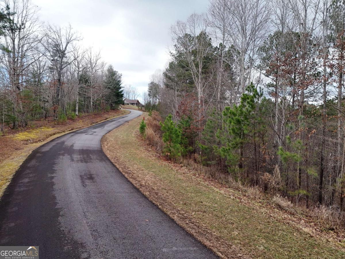 Lot 59 Ridge Peak View Blairsville, GA 30512 - Photo 32 of 49 a view of a street view