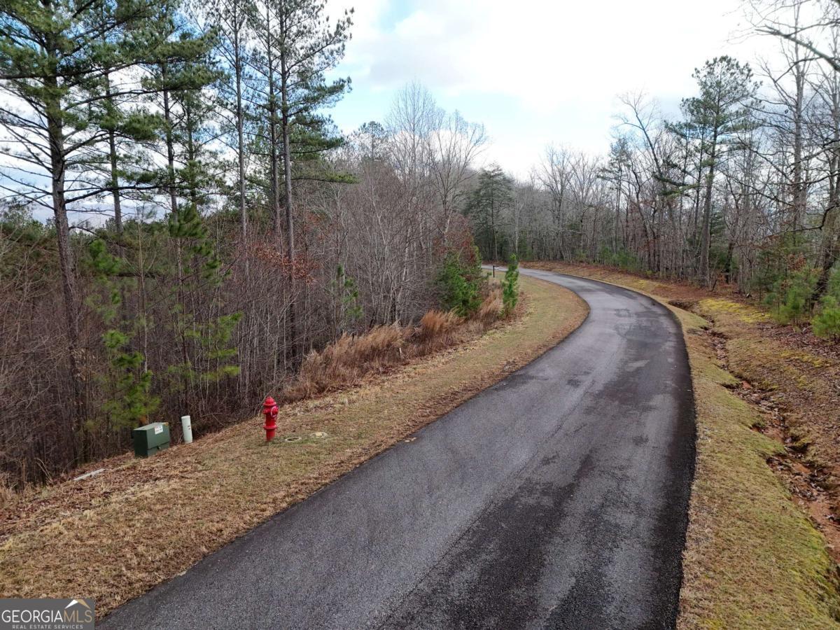Lot 59 Ridge Peak View Blairsville, GA 30512 - Photo 33 of 49 a view of a backyard with large trees