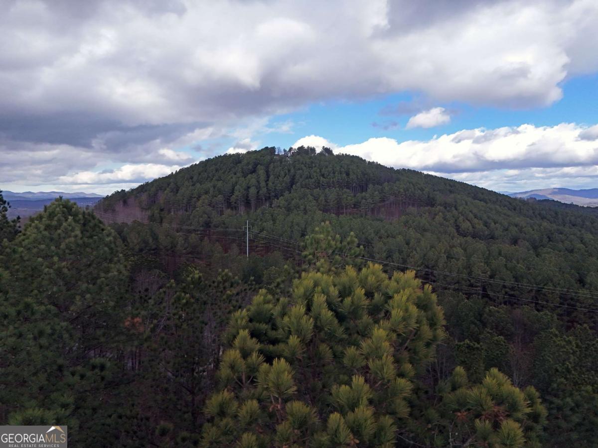Lot 59 Ridge Peak View Blairsville, GA 30512 - Photo 35 of 49 a view of a city and mountain view