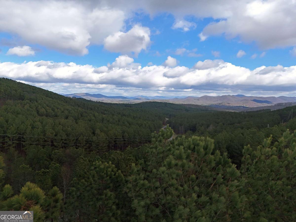 Lot 59 Ridge Peak View Blairsville, GA 30512 - Photo 36 of 49 a view of a city and mountains