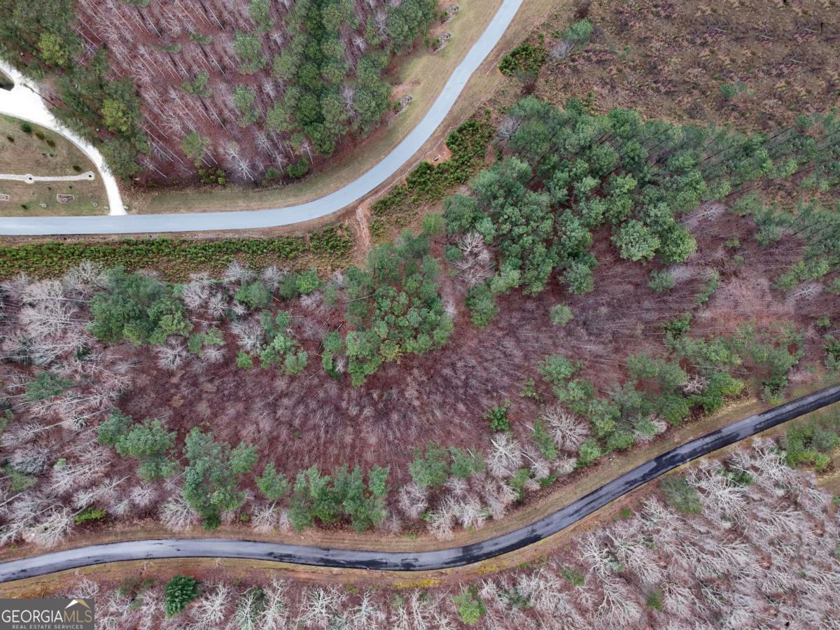 Lot 59 Ridge Peak View Blairsville, GA 30512 - Photo 41 of 49 a view of a backyard with plants