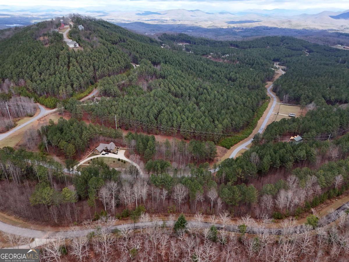 Lot 59 Ridge Peak View Blairsville, GA 30512 - Photo 42 of 49 an aerial view of green landscape with trees and houses