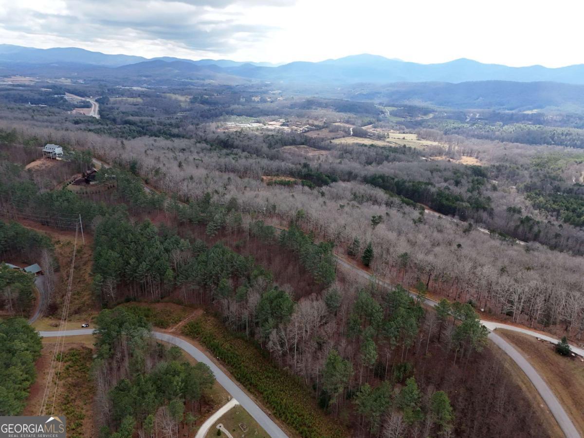 Lot 59 Ridge Peak View Blairsville, GA 30512 - Photo 45 of 49 an aerial view of residential house and green space