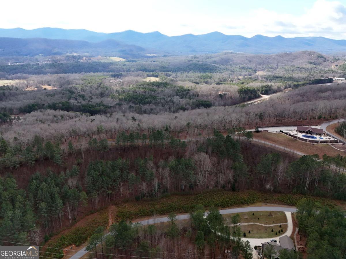 Lot 59 Ridge Peak View Blairsville, GA 30512 - Photo 47 of 49