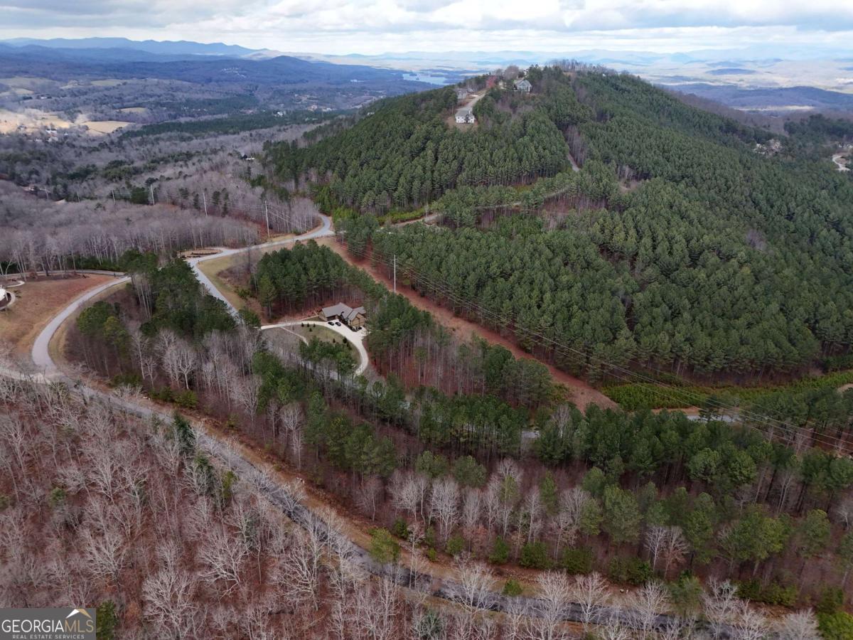 Lot 59 Ridge Peak View Blairsville, GA 30512 - Photo 49 of 49 a view of a lot of trees and mountains
